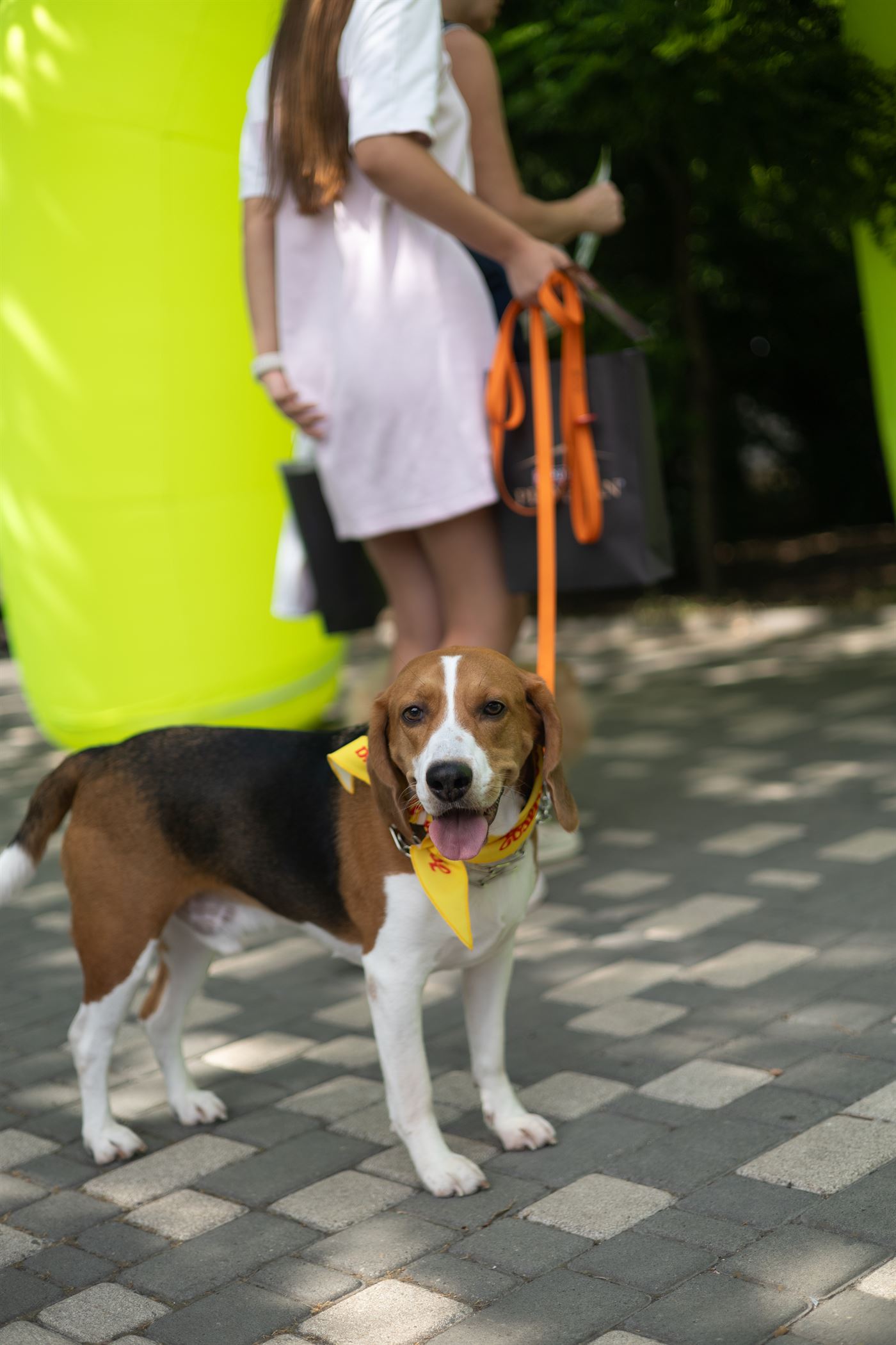 PetVille Fest Одеса