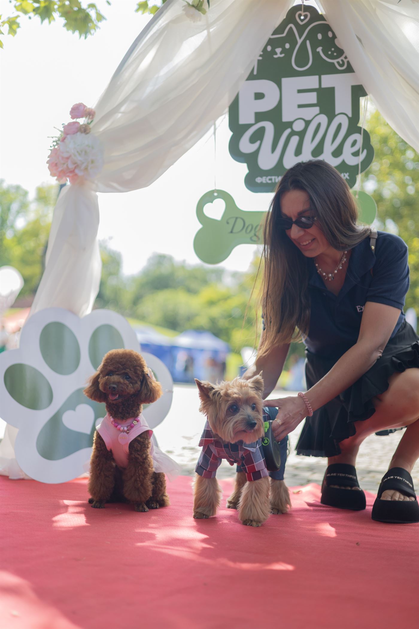PetVille Fest Одеса